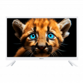 TOPDEVICE TDTV24BS02H_WE